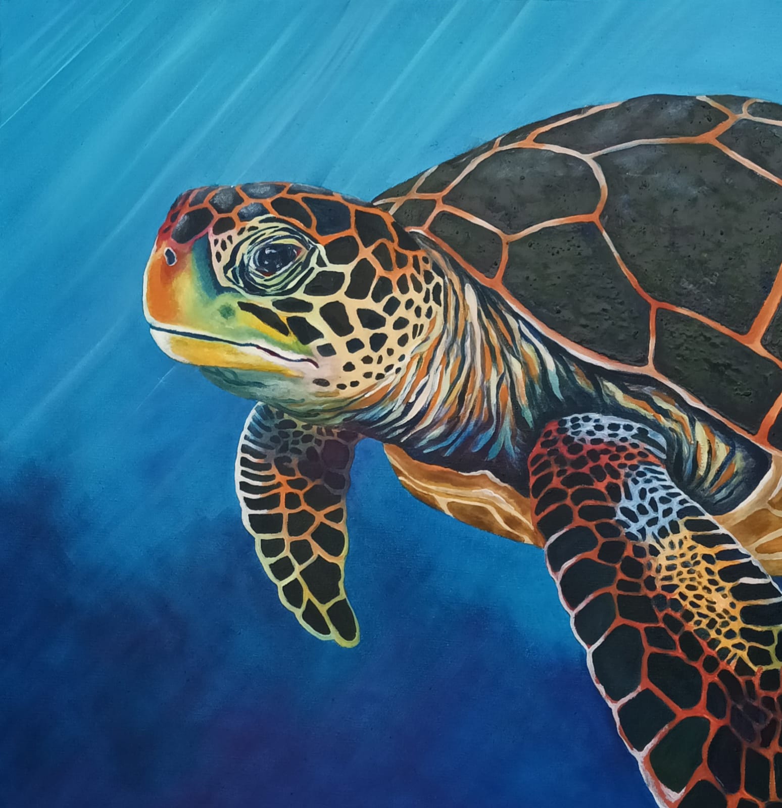 Sea Turtle swimming in the Ocean