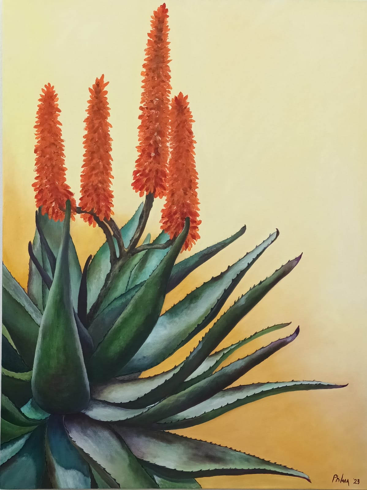 Painting of a beautiful Aloe